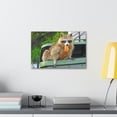 thumbnail image 4 of Raccoon Hunting Raccoon on Hunt Print Animal Wall Art Wildlife Canvas Prints Wall Art Ready to Hang Unframed, 4 of 18