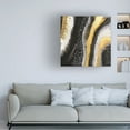 thumbnail image 3 of Trademark Fine Art Alyson Storms Black Agate Canvas Wall Art, 3 of 4