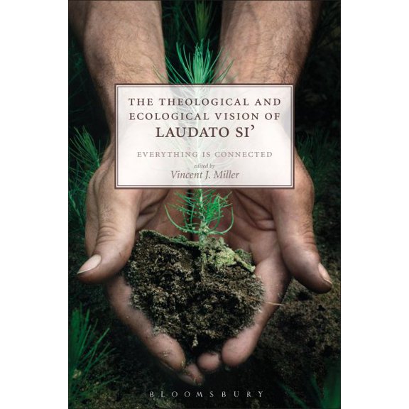 Pre-Owned The Theological and Ecological Vision of Laudato Si' : Everything Is Connected (Paperback) 9780567673152