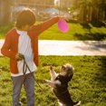 thumbnail image 2 of OULII 4 Pcs Oval Ball Pets Rugby Ball TPR Durable Indoor Play, 2 of 3