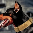 thumbnail image 2 of Juego De Collar Y Correa Ajustable Para Perros Y Mascotas Suministros De Entrenamiento Al Aire Libre Para Mascotas seitruly PT002541-09, 2 of 6