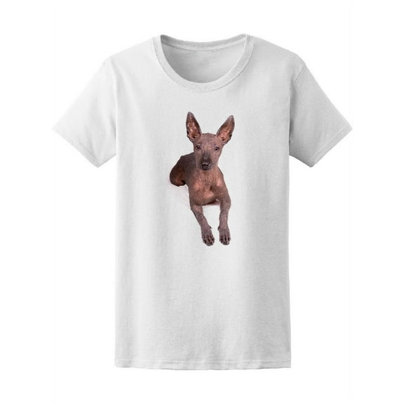 Xoloitzcuintli Mexican Dog T-Shirt Women -Image by Shutterstock, Female XX-Large