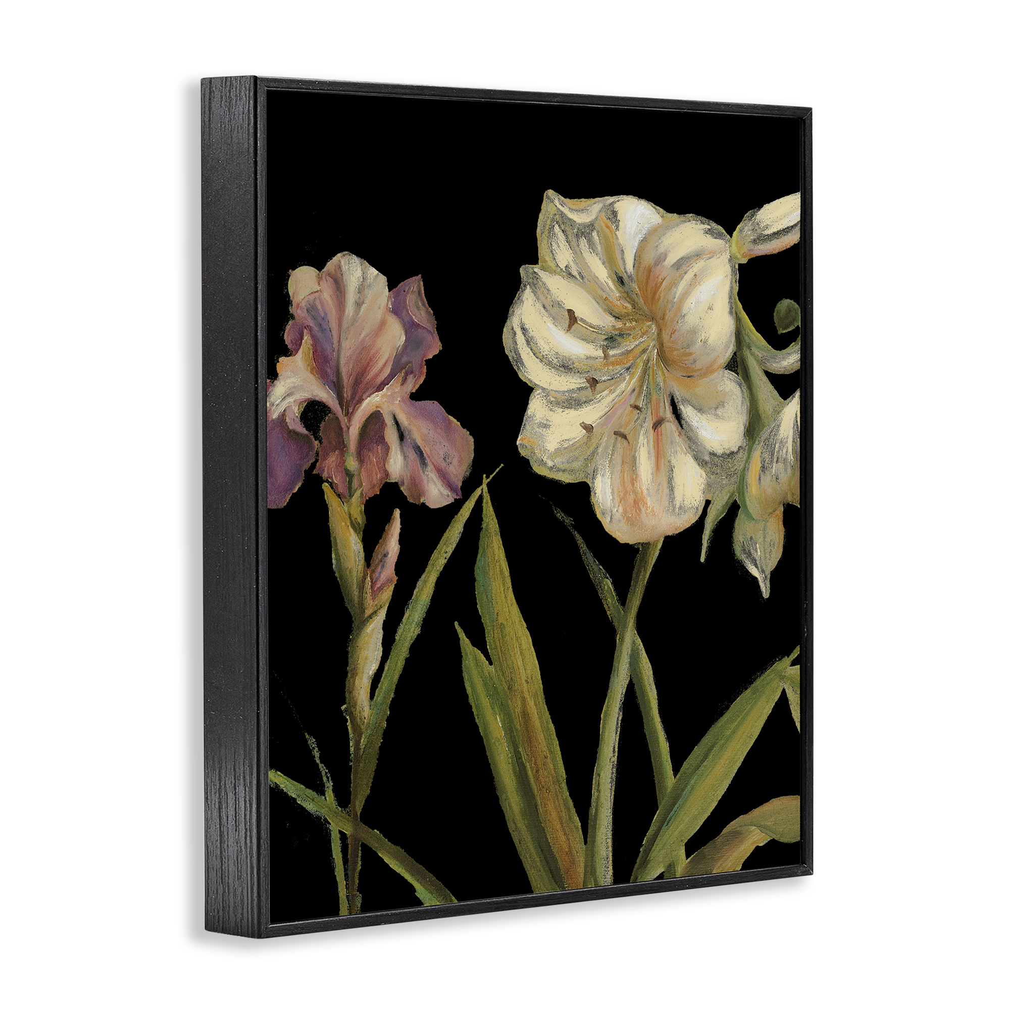 Stupell Industries Iris Flowers on Black Botanical & Floral Painting Black Framed Art Print Wall Art, 16 x 20