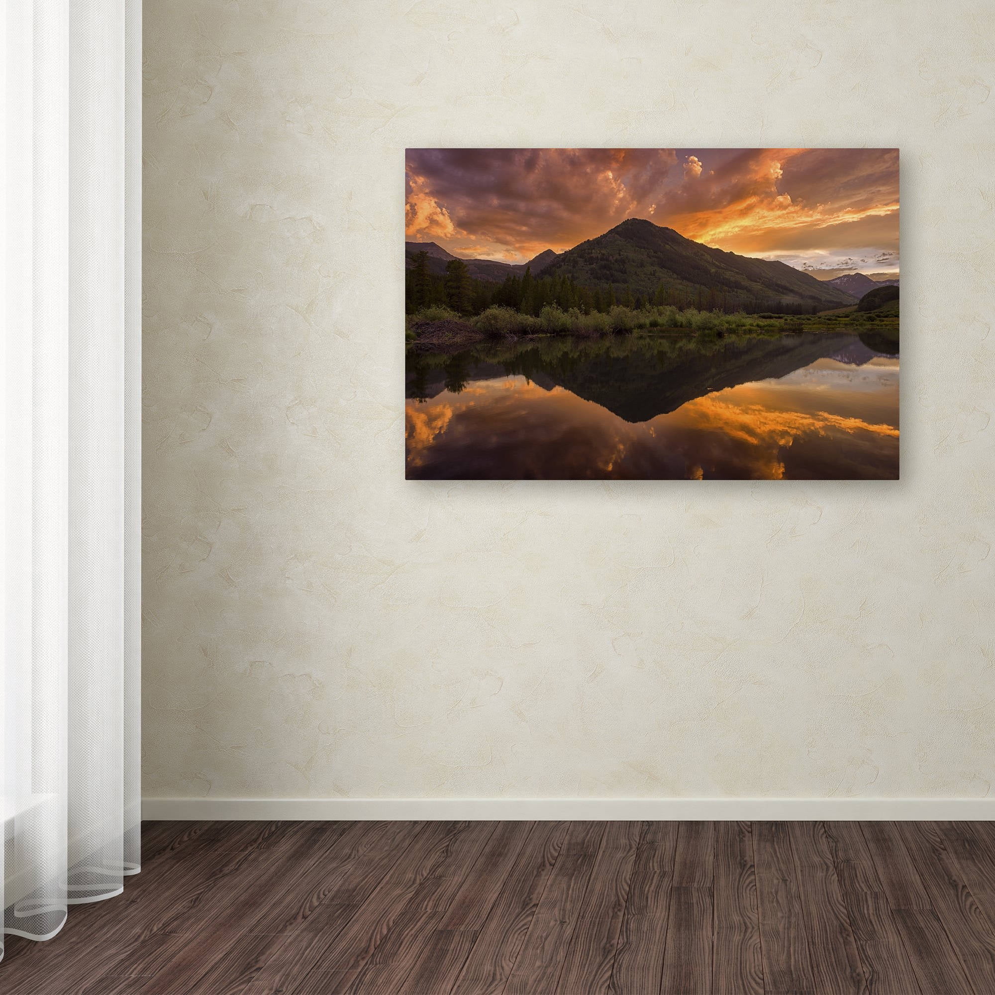 Trademark Fine Art "Orange Majesty" Canvas Art by Michael Blanchette Photography