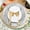 Silver, variant on 100 Pack Gold Charger Plates for Dinner Plates, 13 Inch Round Plastic Shiny Texture Strip Charger Plates for Wedding Thanksgiving Christmas Party Event Catering Hotel Tabletop Setting Decor