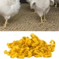 thumbnail image 4 of Poultry Leg Bands, Used Flexibly Safe And Non- Six Card Slots Chicken Foot Rings  For Home For Poultry For Outdoors For Daily Yellow, 4 of 8