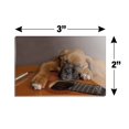 thumbnail image 3 of Boxer Puppy Dog Sleeping on Guitar Rectangle Acrylic Fridge Refrigerator Magnet, 3 of 5