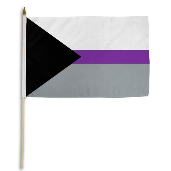Demisexual 12x18in Stick Flag