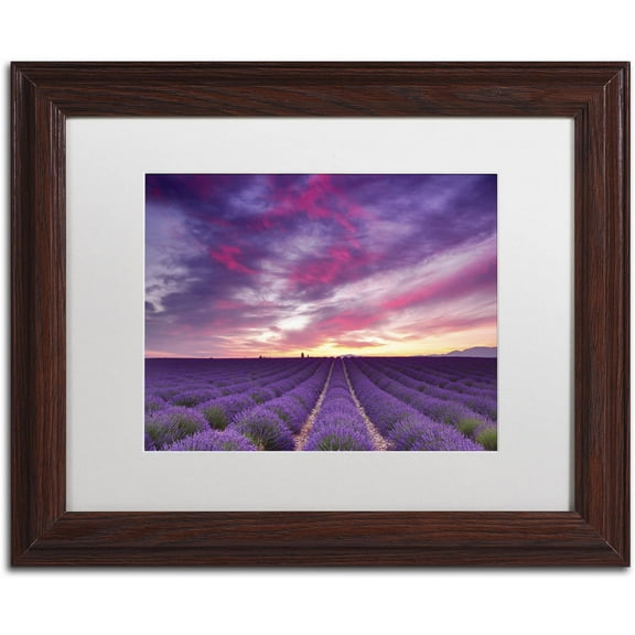 Trademark Fine Art 'Pink and Purple' Canvas Art by Michael Blanchette Photography, White Matte, Wood Frame