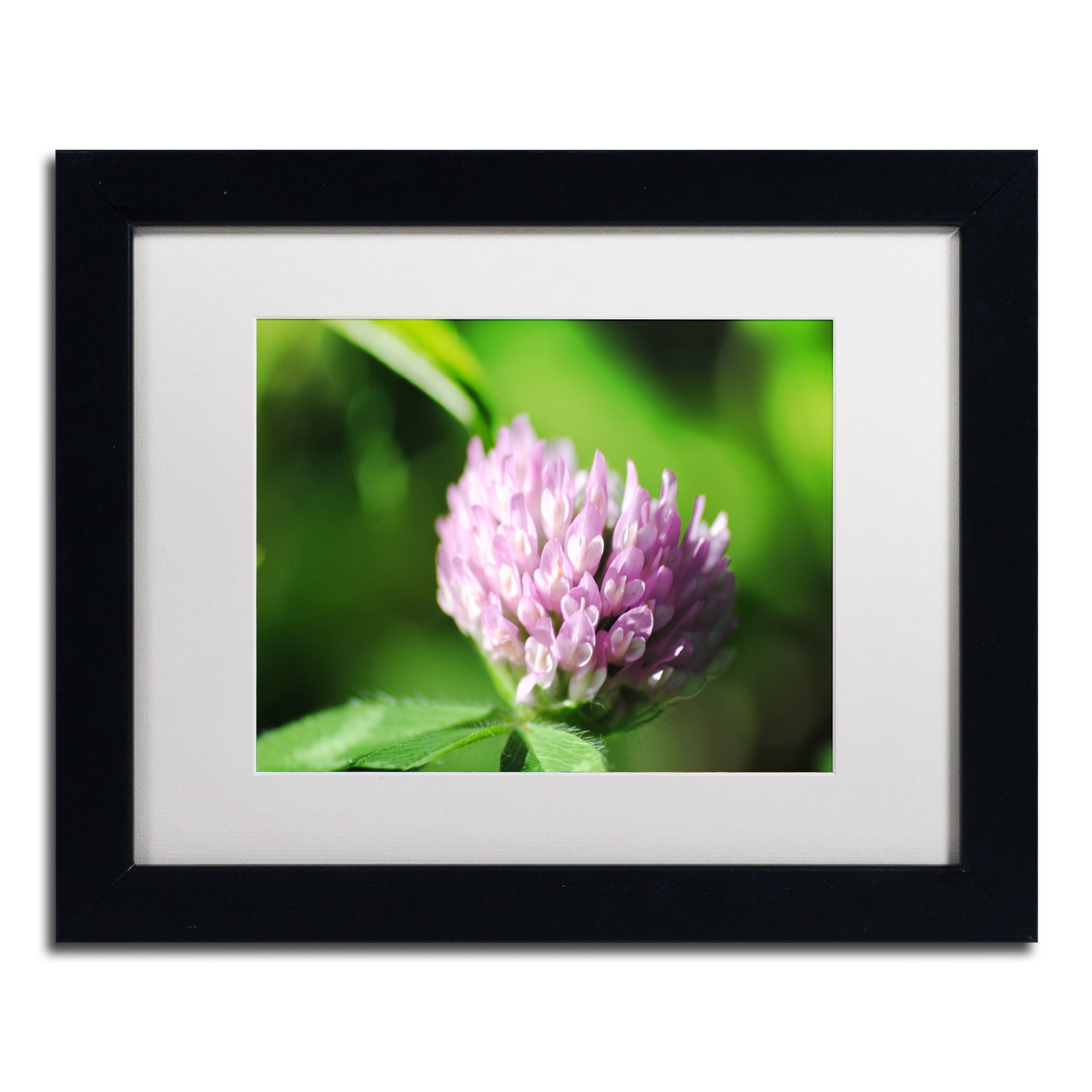 Trademark Fine Art "Vindictive Lust" Canvas Art by Monica Mize, White Matte, Black Frame