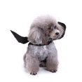 thumbnail image 3 of Small Dog Halloween Costumes, Halloween Dog, Pet Halloween Bat Wings, Small Breed Dog Halloween Outfit, Matte Solid Black Finish, Easy to Put on and Take Off for Daily Wear and, 3 of 7