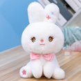 thumbnail image 1 of 2023 Soft / Cartoon / Cute Rabbit Plush Toy / Sitting Star Rabbit Plush Doll / Bedside Ornaments / Children's Birthday Giftpink35cm Deng Xun unisex, 1 of 2
