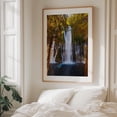 thumbnail image 5 of Burney Falls - California Photography Waterfall Nature Scenic Forest Landscape Woods Autumn Oak Framed Wall Art Print 16 x 20 inches, 5 of 12