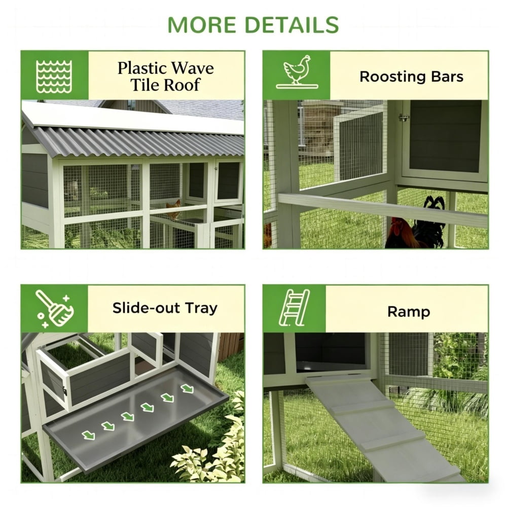 Chicken Coop