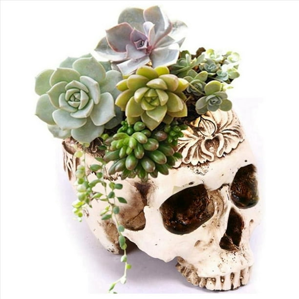 3X Maceta de Resina con Forma de Calavera, Maceta para Flores y Suculentas, Maceta con Esqueleto Tallado, Maceta para Cactus de AzúCar, Soporte para Macetas, Cuenco para Dulces