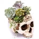 thumbnail image 1 of 3X Maceta de Resina con Forma de Calavera, Maceta para Flores y Suculentas, Maceta con Esqueleto Tallado, Maceta para Cactus de AzúCar, Soporte para Macetas, Cuenco para Dulces, 1 of 4