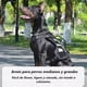thumbnail image 3 of Pechera Arnés Táctico Con Correa Para Perro Mediano Y Grande, 3 of 8