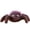 B - Spider, variant on QLUEWX Halloween Squeaky Plush Pet Toys, 5.9" Brown Skull Shaped Interactive Sound Toy, Dogs and Cats Squeaky Durable Chew Toy Home Decor, Halloween Decor for Home Indoor Pet Play