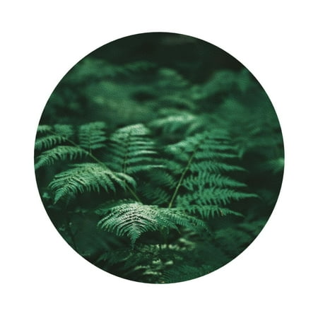 

Salouo Ferns Leave Green Foliage Print Round Coaster Drink Coasters Leather Bar Beer Beverage Coasters for Drinks Set of 4 for Tabletop Protection Coffee Table Decor