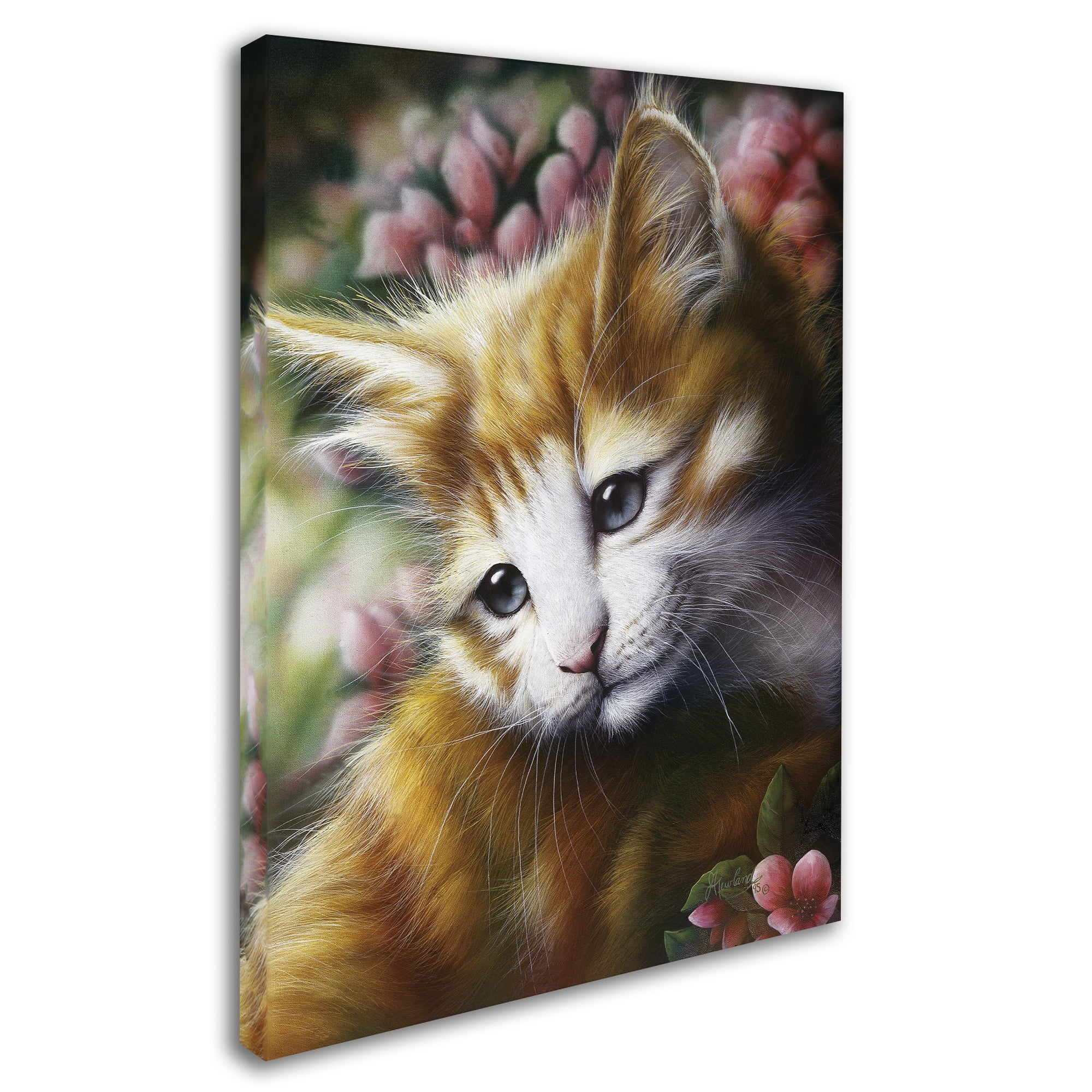 Trademark Fine Art 'Buttercup' Canvas Art by Jenny Newland