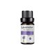 thumbnail image 2 of XWSHYW Aceite Esencial Aceite Corporal 10Ml Hidratante Cuidado de La Piel Aceite de Masaje Fragancias Calmante Cuidado de La Piel Masaje Nutritivo Completo, 2 of 6