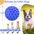 thumbnail image 2 of Pelota chirriante indestructible de juguete para perros DISSONIC para razas grandes, 2 of 8