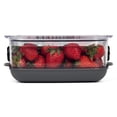 thumbnail image 4 of ProKeeper+ by Progressive Stackable Produce ProKeeper Storage Container with Stay-Fresh Vent System (PKS-912 (1.2 qt Berry Keeper)), 4 of 7