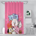 BT21 Compartment shower curtain for small bathroom, cute shower curtain