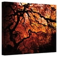 thumbnail image 1 of ArtWall Japanese Tree II by John Black Photographic Print on Canvas, 1 of 1