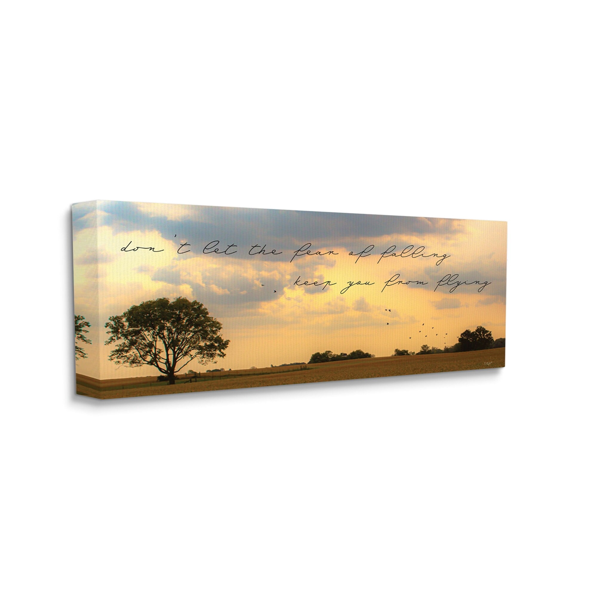 Stupell Industries Fear of Falling Motivational Adversity Phrase Sunset Park,30 x 13, Design by Donnie Quillen