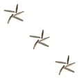 thumbnail image 2 of relayinert 5pcs Garden Pruner Spring Modified Parts Labor-saving Stainless Steel Volute Pruning Shears Springs Replace Component 3Set, 2 of 6