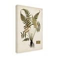 thumbnail image 2 of Vision Studio 'Fern Botanical IV' Canvas Art, 2 of 3