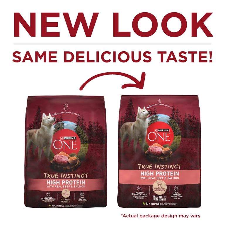 Purina ONE High Protein Dry Dog Food with Real Beef & Salmon for