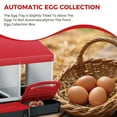 thumbnail image 3 of Heavy Duty 3-Compartment Red Metal Chicken Nesting Box – Removable Trays, Roll-Away Design for Easy Egg Collection & Cleaning, Wall-Mountable with Metal Legs – Poultry Coops, Backyards, Farms, 3 of 8