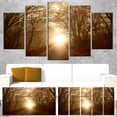 thumbnail image 1 of Design Art - Path to Sunlight in Autumn Forest, 1 of 5