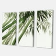 thumbnail image 3 of Designart ' Ancient Dark Green Bamboo ' Traditional Canvas Wall Art Print, 3 of 3