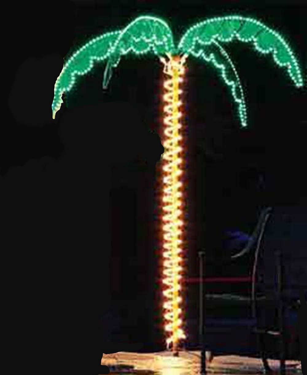 lit palm tree