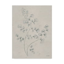 Trademark Fine Art 'Soft Summer Sketches IV' Canvas Art by James Wiens