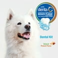 thumbnail image 5 of Nylabone Advanced Oral Care Natural Dog Dental Kit Peanut Butter 2.5 Ounce (3 Count), 5 of 12