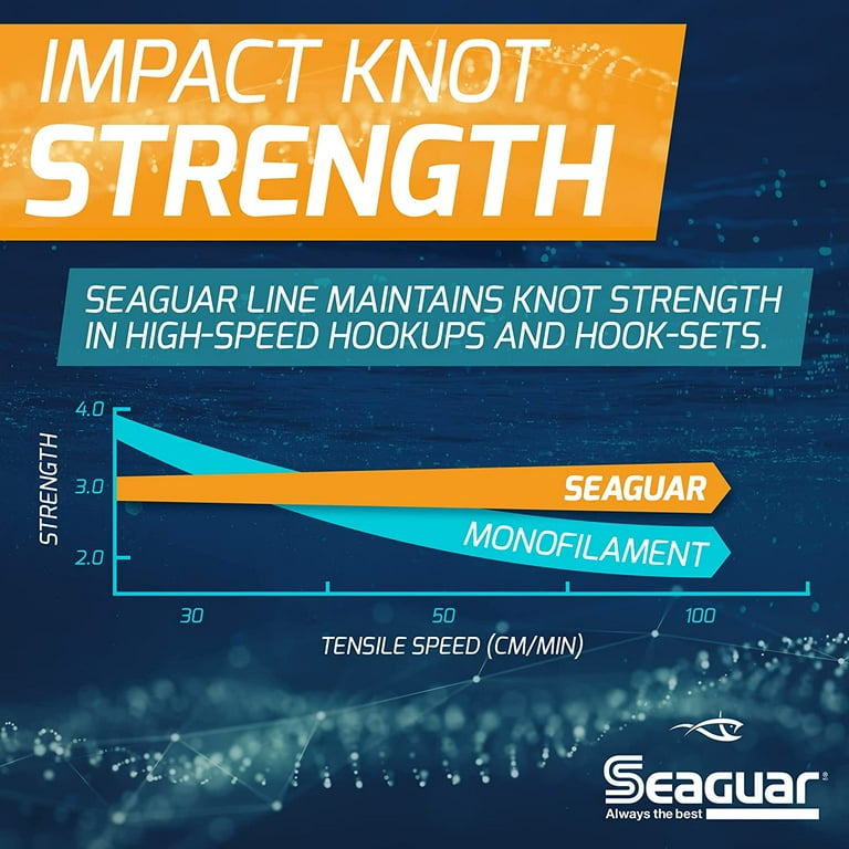Seaguar AbrazX Musky/Pike 100% Flourocarbon Fishing Line 90lbs, 25yds Break  Strength/Length - 90AX25 
