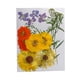 thumbnail image 1 of Advancent Artesanía de flores secas naturales Flores prensadas Ramos en relieve Decoración para tarjetas de boda Pintura de álbum de recortes Flores artificiales  Digitare 5 Advancent HA010760-05, 1 of 6