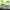 Teenage Mutant Ninja Turtles, variant on Paw Patrol Toddler Girls Backstrap Flip Flop Sandals