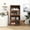 Walnut, variant on Floor - to - Ceiling Low Cabinet Bookcase with Glass Doors | Ideal for Home Office and Kitchen | Spacious and Dust - resistant