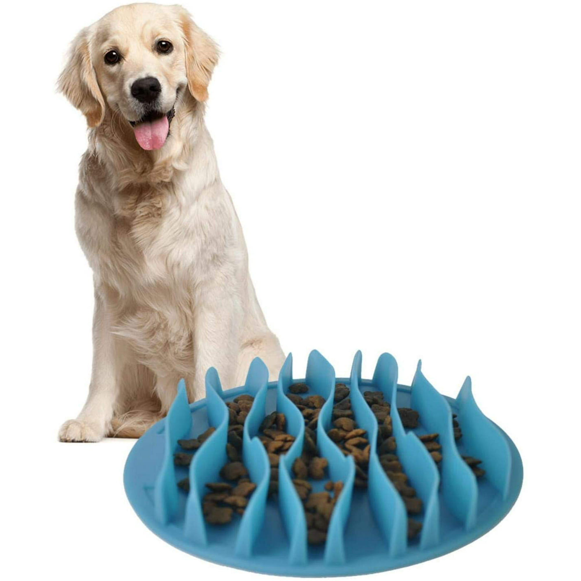 Dog training bowl hotsell