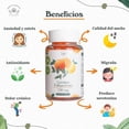 thumbnail image 5 of Gomitas antiestrés y ansiedad 750 mg | Esencia mental | Fullspectrum | (30 gomitas sabor naranja), 5 of 5