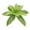 F, variant on Artificial Calathea Plant With Broad Green Leaves, Faux Bush For Indoor Outdoor Wall Decor, Lifelike Greenery For Home Garden And Wedding Decoration, White Green (Multicolor, 45CM)
