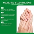 thumbnail image 3 of Tea Tree Essential Oil Nail Fungus Treatment Essential Oil 2025 New, 3 of 3