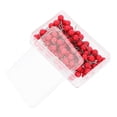 thumbnail image 5 of WRISTBIQUE 200Pcs Red Round Needle Push Pins Stainless Steel for Map Marking and Office Use, 5 of 8