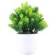 thumbnail image 1 of 1 pieza de adorno de planta de simulación, bonsái artificial, decoración de escritorio para el hogar., 1 of 7