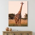 thumbnail image 2 of Designart ' African Giraffe In The Wildlife I ' Farmhouse Canvas Wall Art Print, 2 of 4